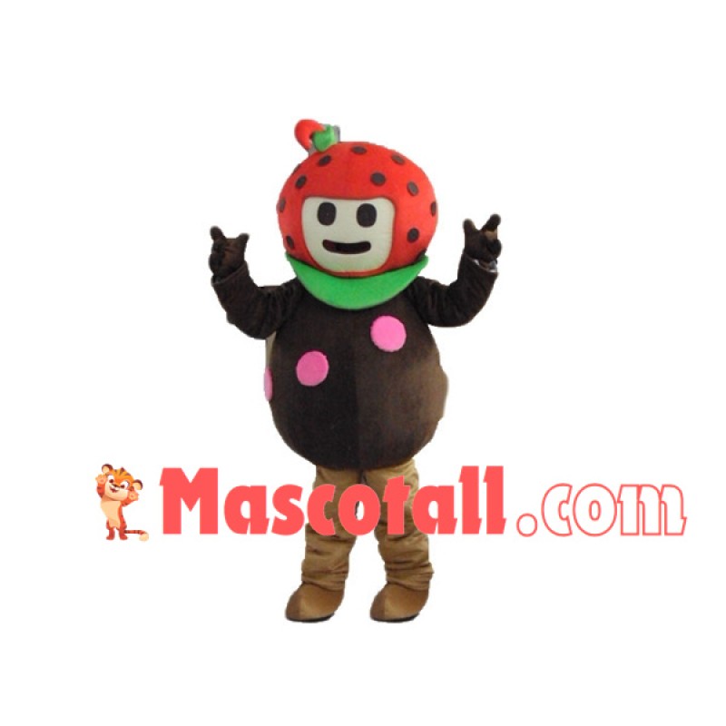 Lovely Cartoon Strawberry Boy Mascot Costume