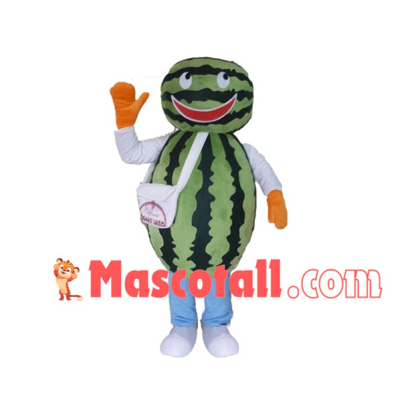 Assembled Watermelon Doll Mascot Costume