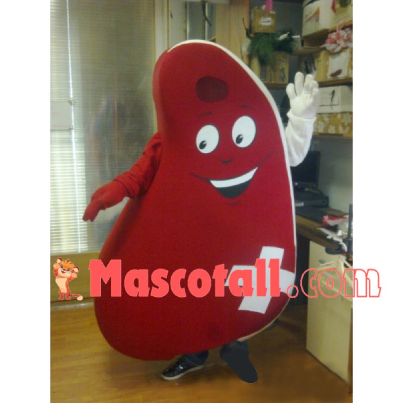 Heart Shaped Red Medicine Bag Mascot Costume
