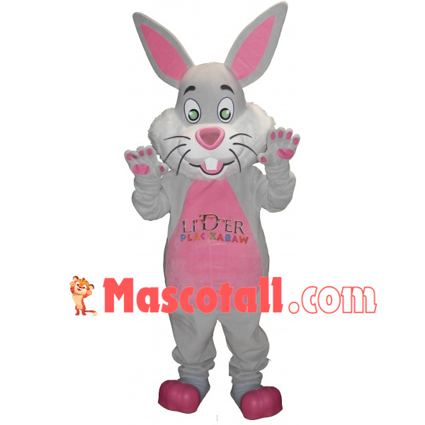 Playground Rabbit Mascot Costume For Middle School