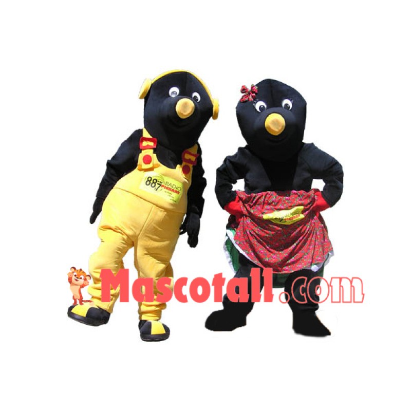 Black Penguin Partner On Radio Show Mascot Costume