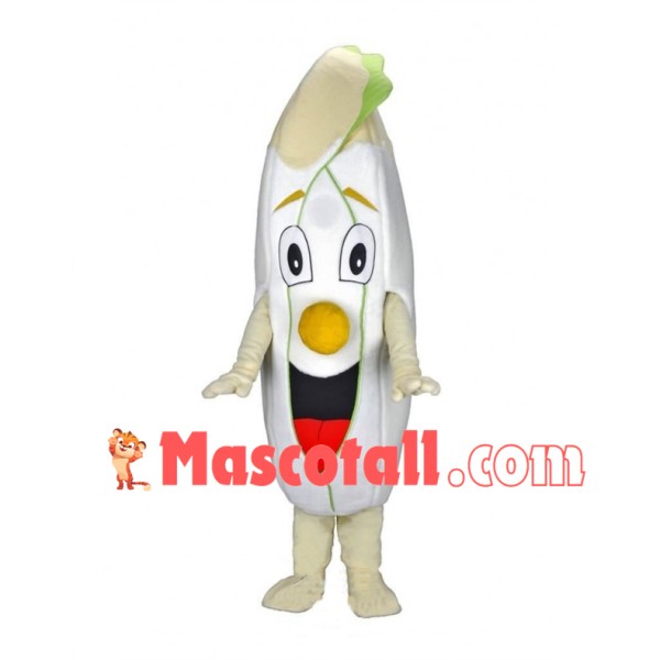 Deluxe Cartoon Chicory Mascot Adult Costume