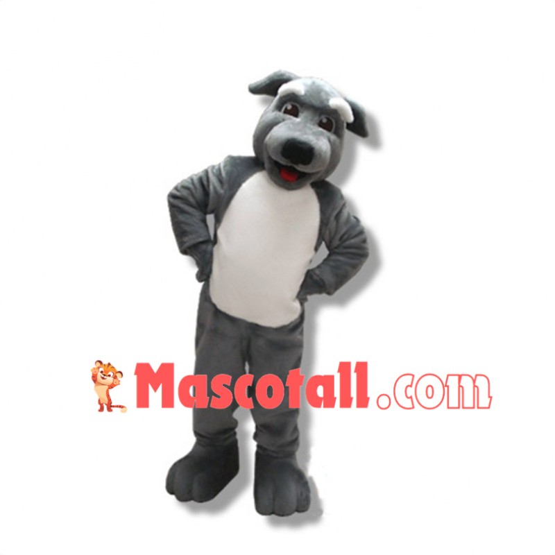 Lovely Grey Wolfhound Pup School Mascot Costume 