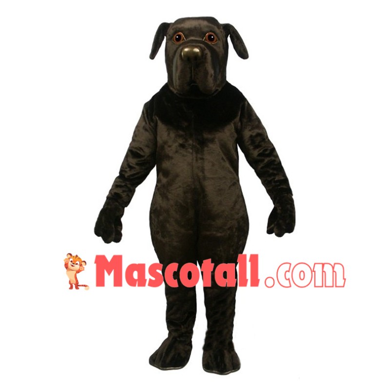 Newfoundland Dog Mascot Costume 