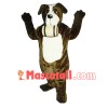 Saint Bernard Puppy With Tambour Mascot Costume 