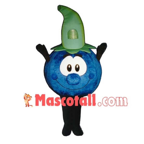 Deluxe Cartoon Blueberry Mascot Adult Costume 