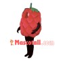 Deluxe Fresh Raspberry Mascot Costume 