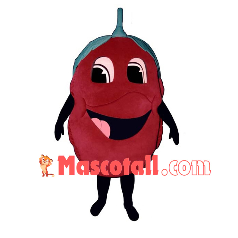 Deluxe Cartoon Red Raspberry Mascot Costume	