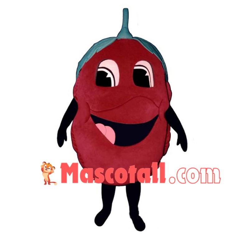 Deluxe Cartoon Red Raspberry Mascot Costume	