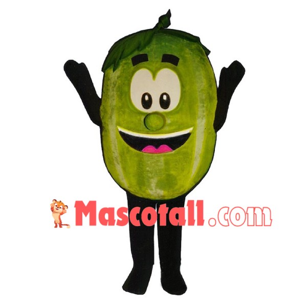 Deluxe Cartoon Wally Watermelon Lightweight Mascot Costume 	