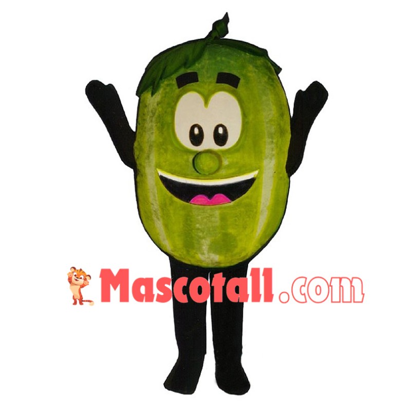 Deluxe Cartoon Wally Watermelon Lightweight Mascot Costume 	