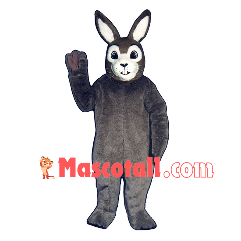 Jake Rabbit Mascot Costume