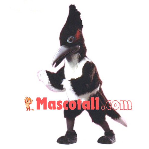 Greater Roadrunner Mascot Costume	