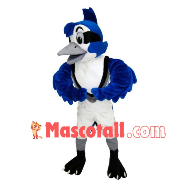 Jayson the Blue Jay High School Mascot Costume	