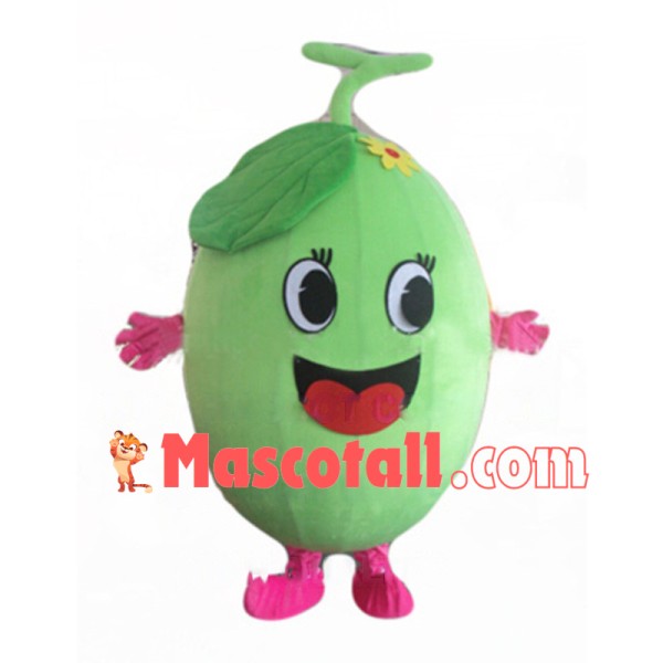 Fat Winter Melon Lightweight Mascot Cartoon Costume 