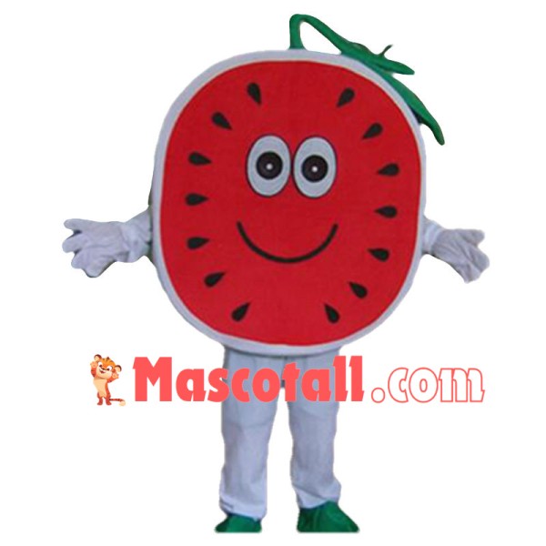 Adult Cartoon Round Slice Of Watermelon Mascot Costume 