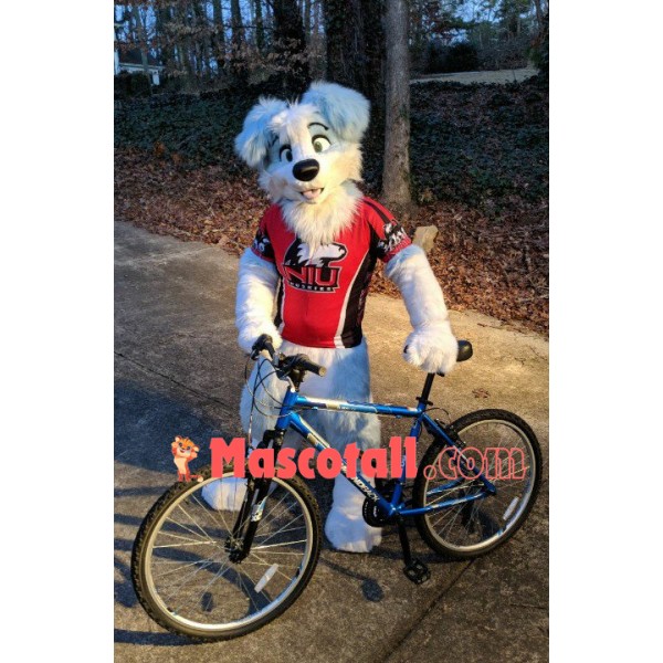 Sport Blue & White Dog Mascot Costume