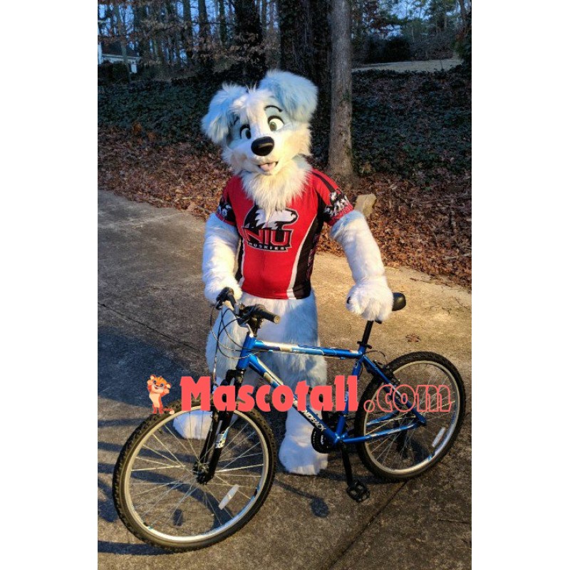 Sport Blue & White Dog Mascot Costume