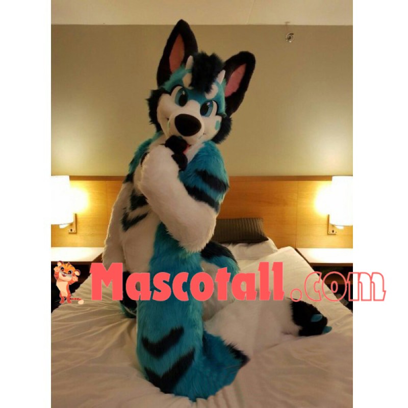 Blue & Back & White Husky Dog Mascot Costume