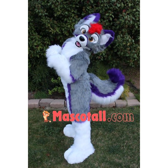 Grey Husky Dog Mascot Costume