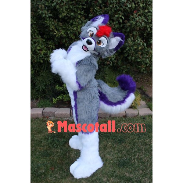 Grey Husky Dog Mascot Costume