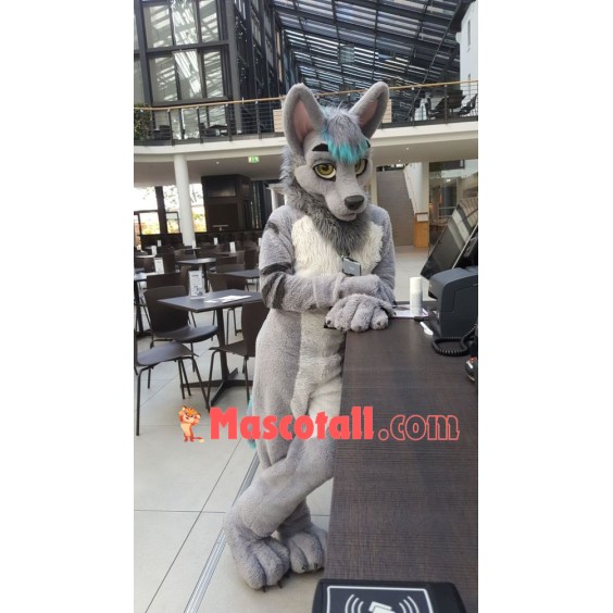Cute Wolf Mascot Costume
